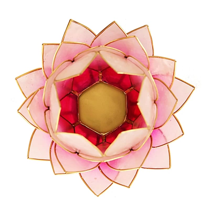 Lotus sfeerlicht wit/lichtroze groot