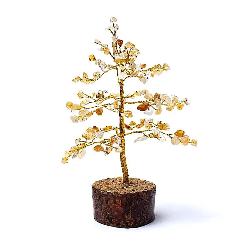 Edelsteenboom citrien (ca. 18 cm)
