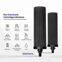 Phoenix Gravity KokoCarb filters (2-pack)