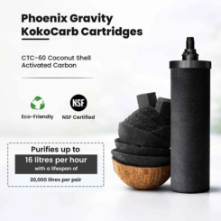 Phoenix Gravity KokoCarb filters (2-pack)